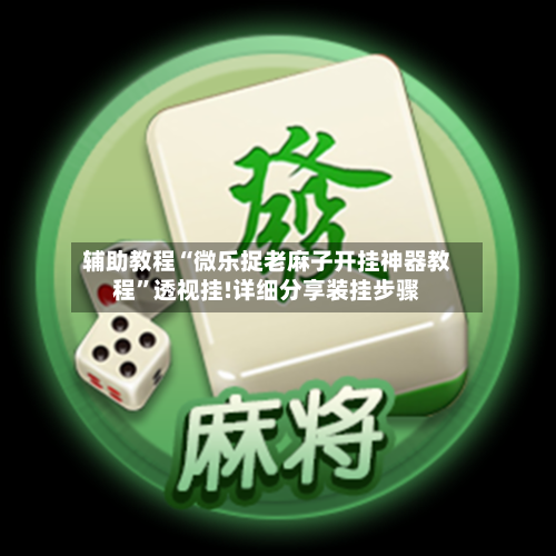 辅助教程“微乐捉老麻子开挂神器教程	”透视挂!详细分享装挂步骤-第2张图片