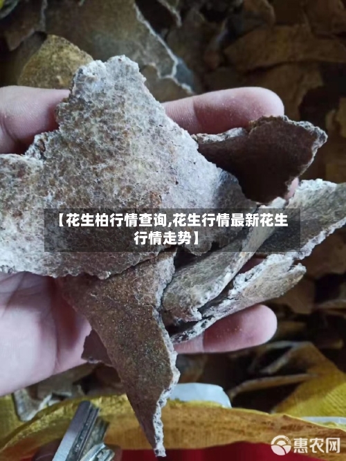 【花生柏行情查询,花生行情最新花生行情走势】-第3张图片