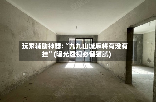 玩家辅助神器:“九九山城麻将有没有挂”(曝光透视必备猫腻)