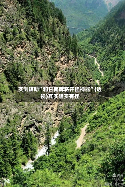 实测辅助”和甘南麻将开挂神器	”(透视)其实确实有挂-第3张图片