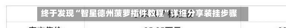终于发现“智星德州菠萝插件教程”详细分享装挂步骤-第2张图片
