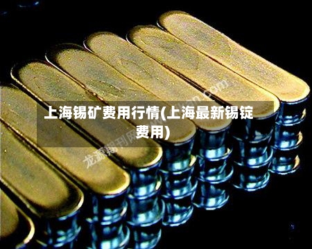 上海锡矿费用行情(上海最新锡锭费用)