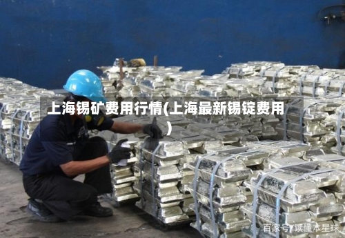 上海锡矿费用行情(上海最新锡锭费用)-第2张图片