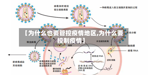 【为什么也要管控疫情地区,为什么要控制疫情】-第3张图片
