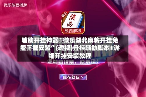 辅助开挂神器“微乐湖北麻将开挂免费下载安装”(透视)开挂辅助脚本+详细开挂安装教程-第3张图片