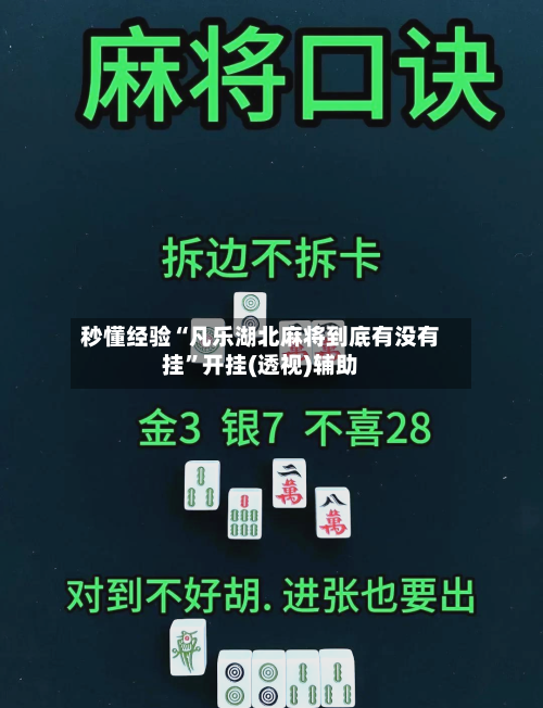 秒懂经验“凡乐湖北麻将到底有没有挂”开挂(透视)辅助