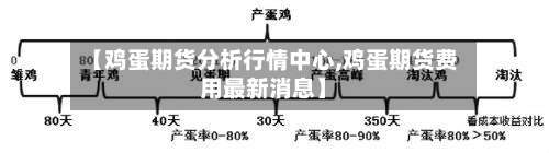 【鸡蛋期货分析行情中心,鸡蛋期货费用最新消息】-第3张图片