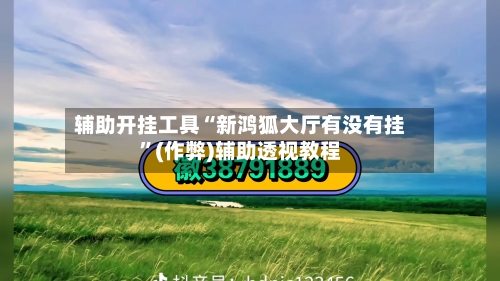 辅助开挂工具“新鸿狐大厅有没有挂”(作弊)辅助透视教程-第2张图片