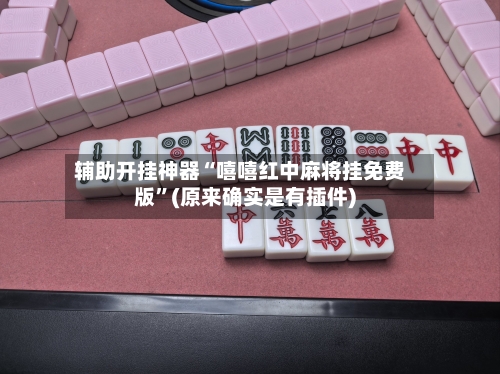 辅助开挂神器“嘻嘻红中麻将挂免费版”(原来确实是有插件)-第2张图片