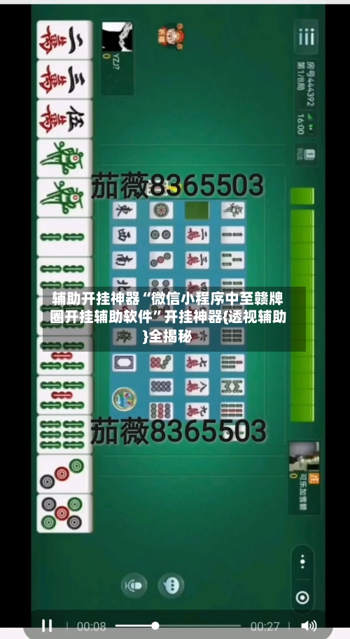 辅助开挂神器“微信小程序中至赣牌圈开挂辅助软件”开挂神器{透视辅助}全揭秘-第3张图片