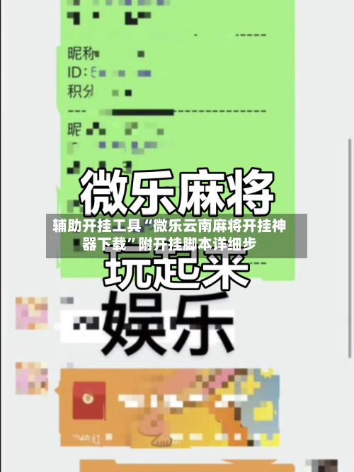 辅助开挂工具“微乐云南麻将开挂神器下载”附开挂脚本详细步-第3张图片