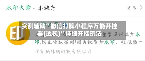 实测辅助”微信打牌小程序万能开挂器(透视)	”详细开挂玩法-第2张图片
