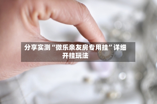 分享实测“微乐亲友房专用挂”详细开挂玩法-第2张图片