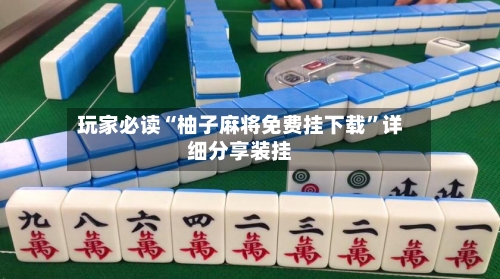 玩家必读“柚子麻将免费挂下载”详细分享装挂