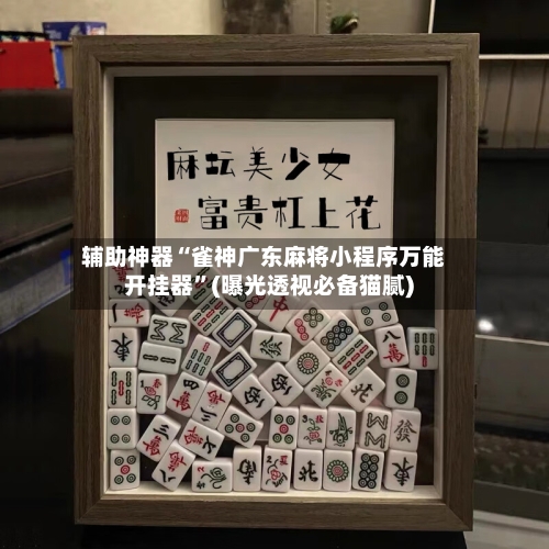 辅助神器“雀神广东麻将小程序万能开挂器”(曝光透视必备猫腻)