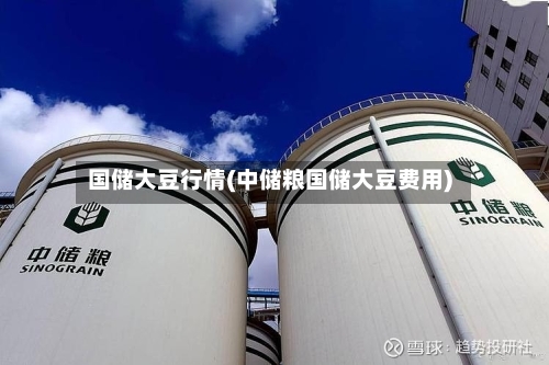 国储大豆行情(中储粮国储大豆费用)-第2张图片