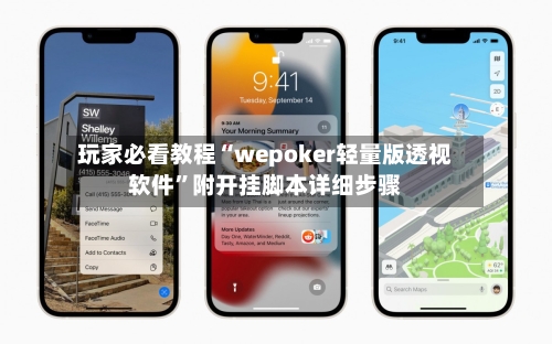 玩家必看教程“wepoker轻量版透视软件”附开挂脚本详细步骤-第2张图片