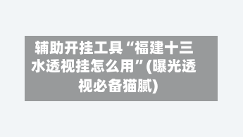 辅助开挂工具“福建十三水透视挂怎么用”(曝光透视必备猫腻)-第3张图片
