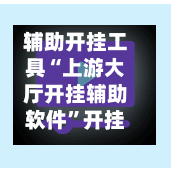 辅助开挂工具“上游大厅开挂辅助软件”开挂辅助透视教程