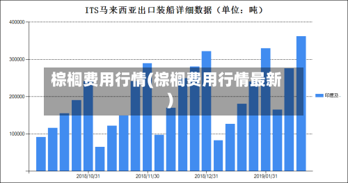 棕榈费用行情(棕榈费用行情最新)