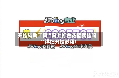 开挂辅助工具“网上打金花能买挂吗”详细开挂教程!-第3张图片
