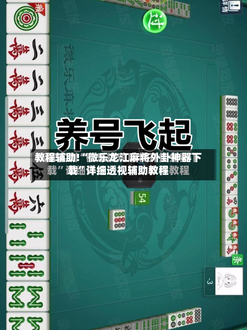教程辅助!“微乐龙江麻将外卦神器下载”详细透视辅助教程-第3张图片
