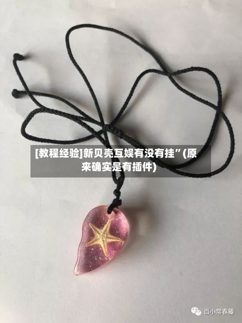 [教程经验]新贝壳互娱有没有挂”(原来确实是有插件)-第2张图片