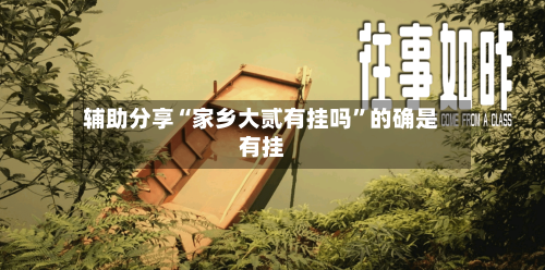 辅助分享“家乡大贰有挂吗”的确是有挂