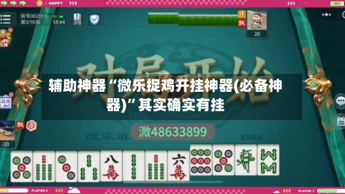 辅助神器“微乐捉鸡开挂神器(必备神器)”其实确实有挂