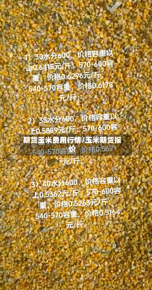 期货玉米费用行情/玉米期货报价