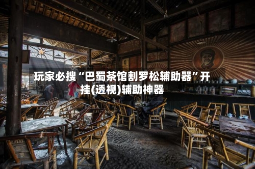 玩家必搜“巴蜀茶馆割罗松辅助器”开挂(透视)辅助神器-第2张图片