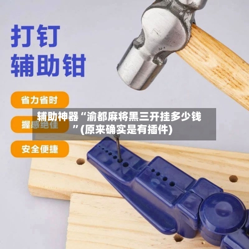 辅助神器“渝都麻将黑三开挂多少钱”(原来确实是有插件)-第3张图片