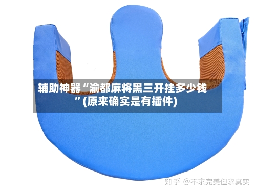 辅助神器“渝都麻将黑三开挂多少钱”(原来确实是有插件)-第2张图片
