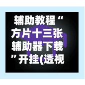 辅助教程“方片十三张辅助器下载”开挂(透视)辅助-第2张图片