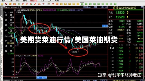 美期货菜油行情/美国菜油期货-第2张图片