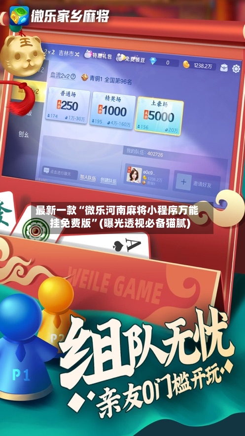 最新一款“微乐河南麻将小程序万能挂免费版”(曝光透视必备猫腻)