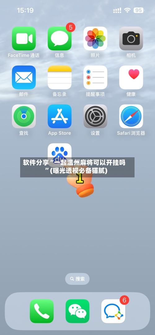 软件分享“一起温州麻将可以开挂吗”(曝光透视必备猫腻)