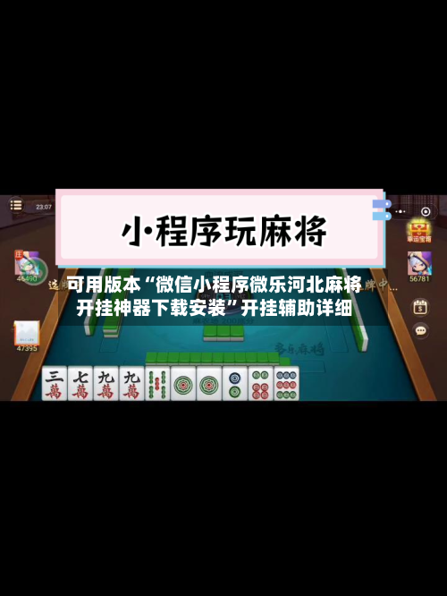 可用版本“微信小程序微乐河北麻将开挂神器下载安装”开挂辅助详细-第2张图片