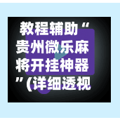 教程辅助“贵州微乐麻将开挂神器”(详细透视教程)-第3张图片