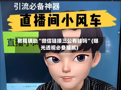 教程辅助“微信链接三公有挂吗”(曝光透视必备猫腻)-第2张图片