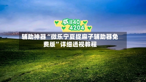 辅助神器“微乐宁夏捉麻子辅助器免费版”详细透视教程-第2张图片