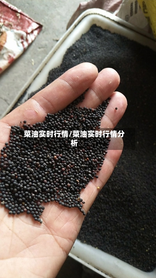 菜油实时行情/菜油实时行情分析