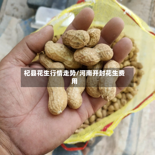 杞县花生行情走势/河南开封花生费用-第2张图片