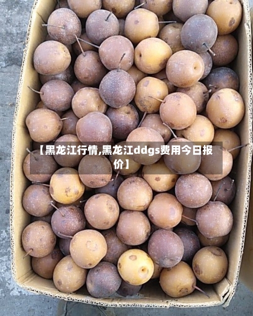 【黑龙江行情,黑龙江ddgs费用今日报价】