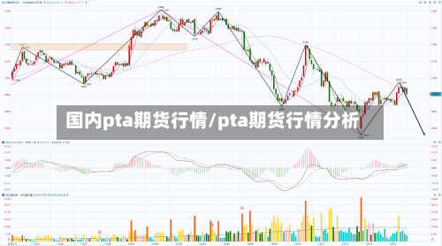 国内pta期货行情/pta期货行情分析