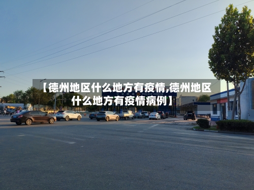 【德州地区什么地方有疫情,德州地区什么地方有疫情病例】-第2张图片