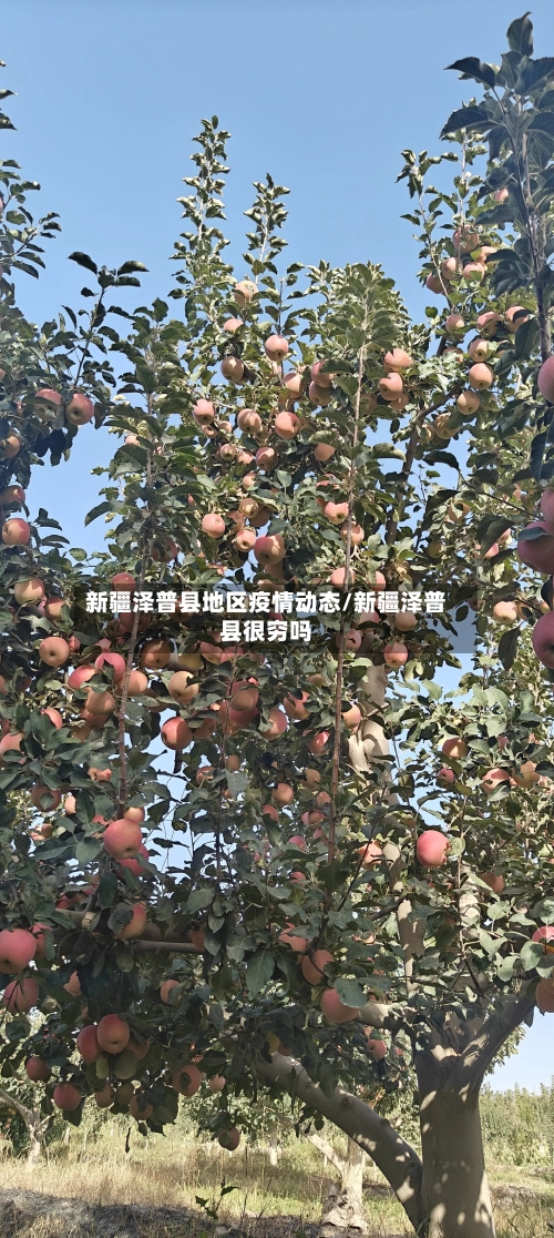 新疆泽普县地区疫情动态/新疆泽普县很穷吗-第2张图片