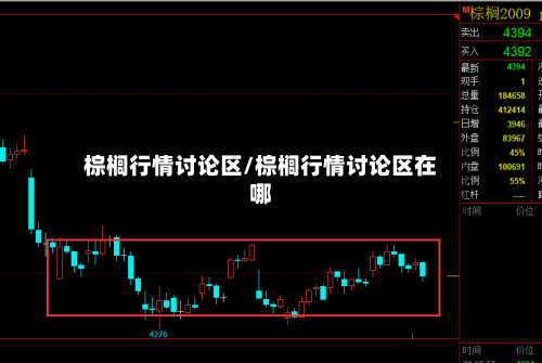棕榈行情讨论区/棕榈行情讨论区在哪-第2张图片
