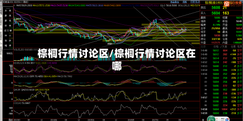 棕榈行情讨论区/棕榈行情讨论区在哪-第3张图片