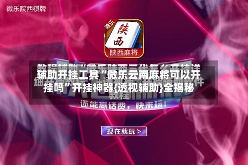 辅助开挂工具“微乐云南麻将可以开挂吗	”开挂神器{透视辅助}全揭秘-第2张图片